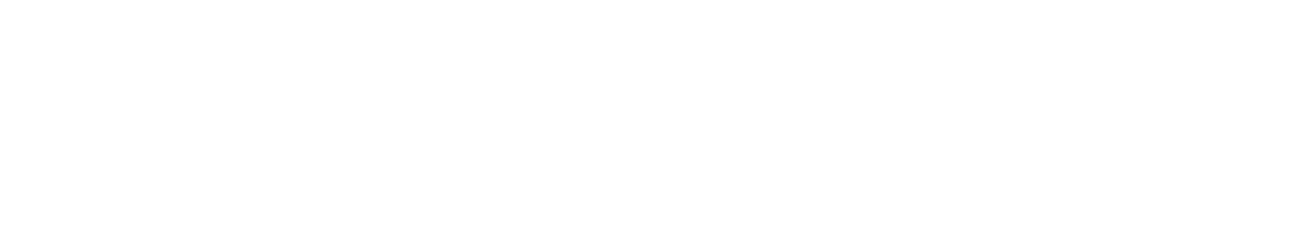 Kam Mirza Real Estate Group